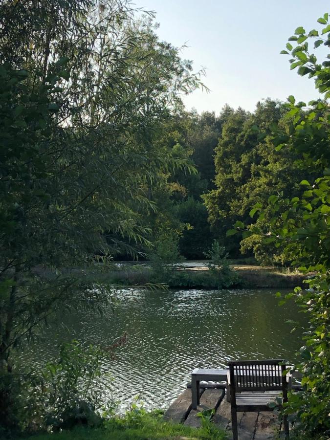 La Francoisiere Bed & Breakfast Loigné-sur-Mayenne Dış mekan fotoğraf