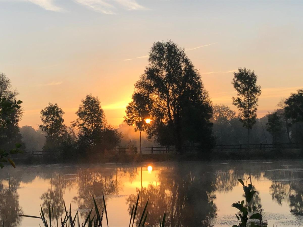 La Francoisiere Bed & Breakfast Loigné-sur-Mayenne Dış mekan fotoğraf