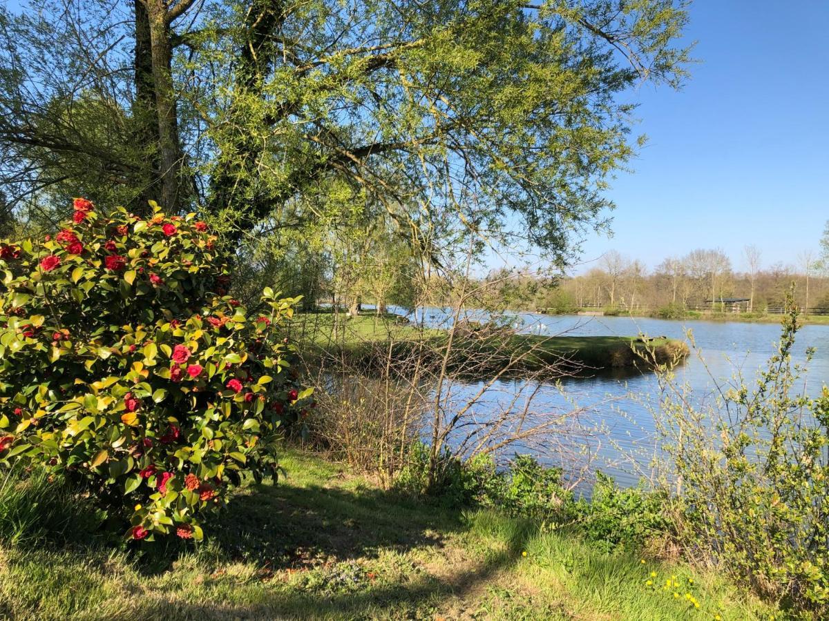 La Francoisiere Bed & Breakfast Loigné-sur-Mayenne Dış mekan fotoğraf